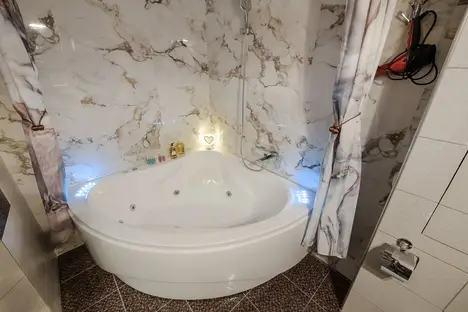 1-комнатная квартира в Минске, Ольшевского улица, д. 1А, м. Пушкинская