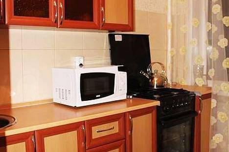 Однокомнатная квартира в аренду посуточно в Самаре по адресу Челюскинцев, 14, метро Российская
