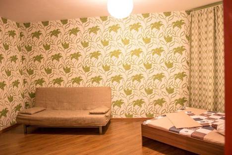 1-комнатная квартира в Новосибирске, Новосибирск, ул. Чехова, 111, м. Октябрьская