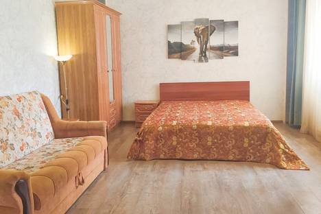 1-комнатная квартира в Воронеже, Воронеж, ул.Революции 1905г. 31 г