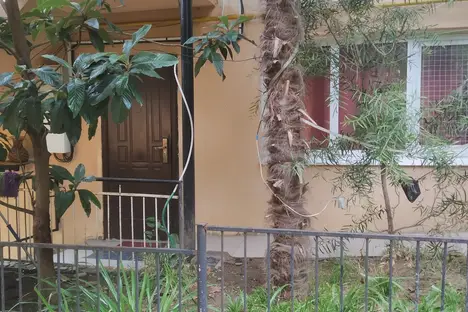 1-комнатная квартира в Сочи, ул. Серафимовича 3