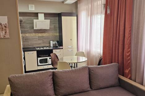 1-комнатная квартира в Зеленоградске, Зеленоградск, ул. Приморская, 25