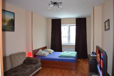 Однокомнатная квартира в аренду посуточно в Екатеринбурге по адресу Братская 27к3
