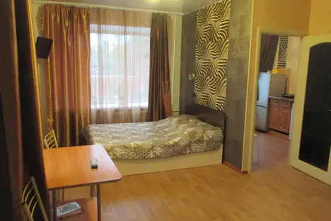 1-комнатная квартира в Томске, Елизаровых, 24