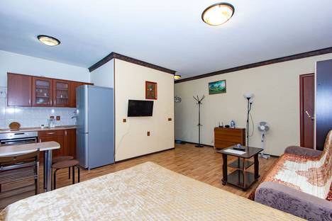 1-комнатная квартира в Новосибирске, ул. Блюхера , 6, м. Площадь Маркса