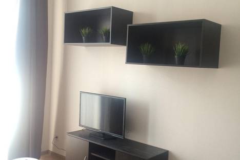 1-комнатная квартира в Ростове-на-Дону, Большая Садовая 102