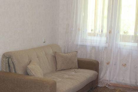 Однокомнатная квартира в аренду посуточно в Перми по адресу Механошина, 4