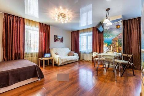 1-комнатная квартира в Екатеринбурге, переулок Университетский, 3, м. Геологическая