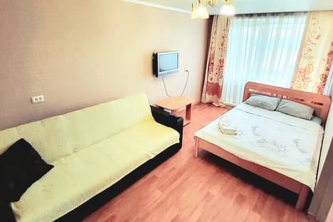 1-комнатная квартира в Новосибирске, Челюскинцев, 4, м. Площадь Гарина-Михайловского