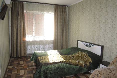 Однокомнатная квартира в аренду посуточно в Воронеже по адресу Ленинский проспект, 126