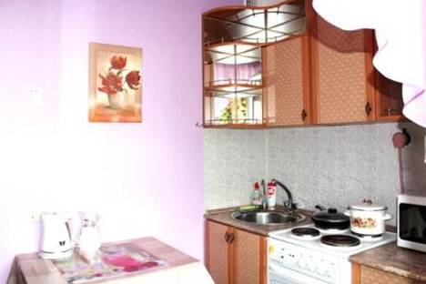 1-комнатная квартира в Великом Новгороде, улица Коровникова 4/1 1-комнатная квартира в Великом Новгороде, улица Коровникова 4/1