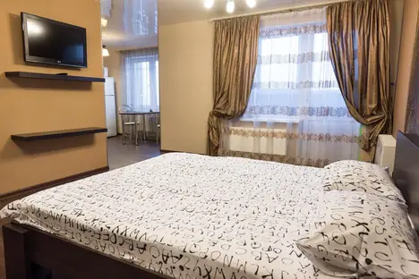 1-комнатная квартира в Екатеринбурге, Союзная 2, м. Чкаловская