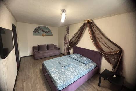 Однокомнатная квартира в аренду посуточно в Кургане по адресу Пушкина 83