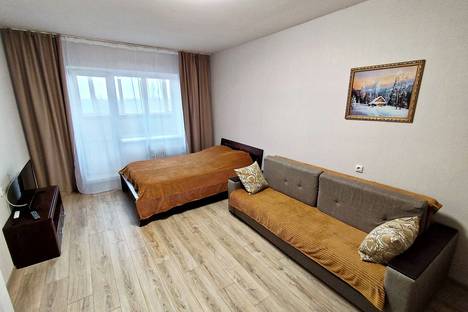 1-комнатная квартира в Воронеже, ул. Ломоносова д 114/36