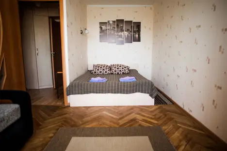 1-комнатная квартира в Санкт-Петербурге, ул. Гаврская, 11, м. Удельная