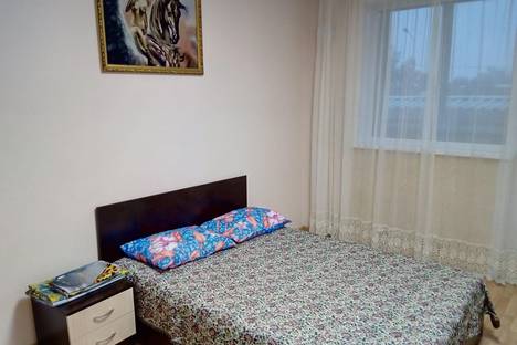 Однокомнатная квартира в аренду посуточно в Иркутске по адресу Красноярская 57