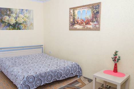 Однокомнатная квартира в аренду посуточно в Челябинске по адресу ул. Кузнецова, 25