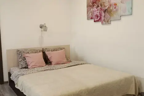 1-комнатная квартира в Гатчине, ул. Хохлова, 16