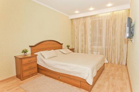 Двухкомнатная квартира в аренду посуточно в Нижнем Новгороде по адресу улица Володарского д.4, метро Горьковская