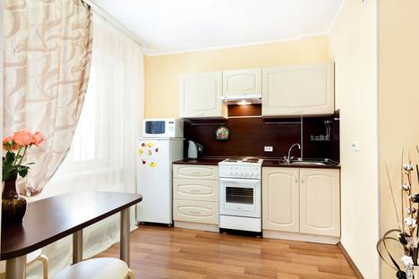 1-комнатная квартира в Екатеринбурге, Союзная улица, 2, м. Чкаловская