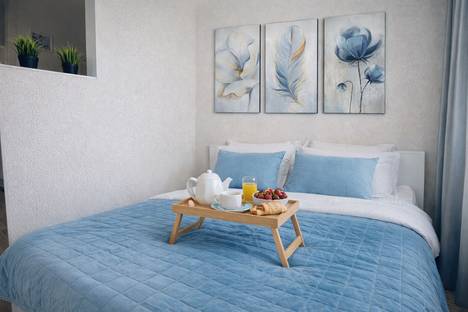 1-комнатная квартира в Нижнем Новгороде, проспект Гагарина 101/2