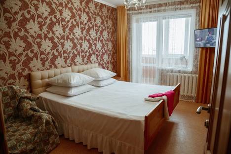 Однокомнатная квартира в аренду посуточно в Ульяновске по адресу улица Орлова, 27