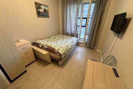 1-комнатная квартира в Санкт-Петербурге, Пулковское ш., 14с6