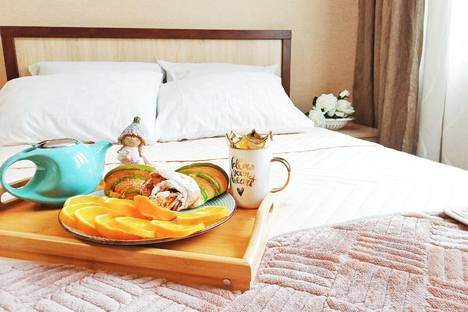 Однокомнатная квартира в аренду посуточно в Воронеже по адресу ул. Революции 1905 года дом 31 в