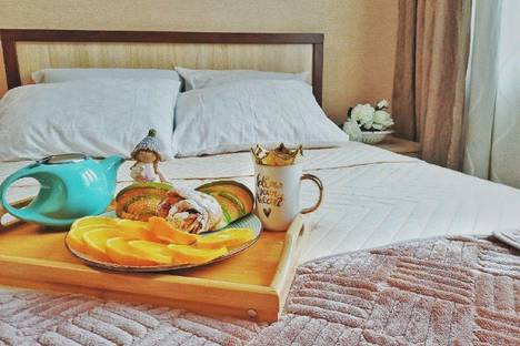 1-комнатная квартира в Воронеже, ул. Революции 1905 года дом 31 в