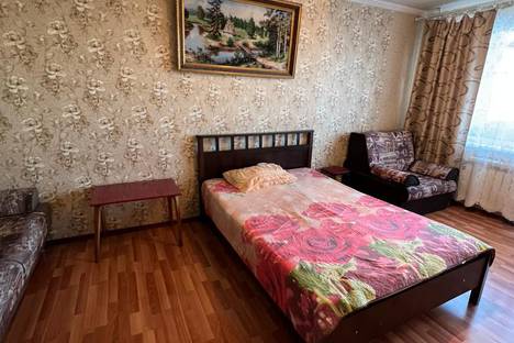 Однокомнатная квартира в аренду посуточно в Оренбурге по адресу пр-кт Братьев Коростелёвых, 45
