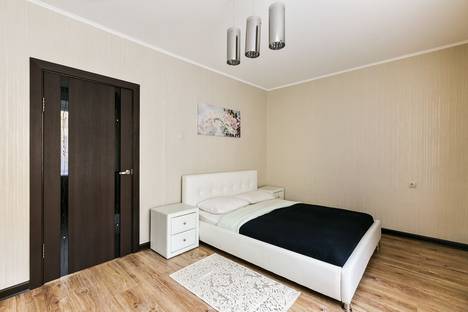 Трёхкомнатная квартира в аренду посуточно в Москве по адресу Ружейный переулок, 4с1, метро Смоленская