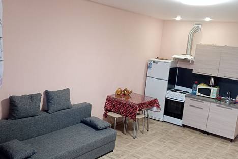 Однокомнатная квартира в аренду посуточно в Иркутске по адресу Трудовая,56