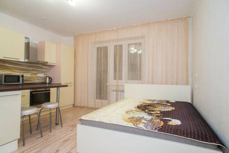 Однокомнатная квартира в аренду посуточно в Челябинске по адресу Калининский район, улица Братьев Кашириных, 117