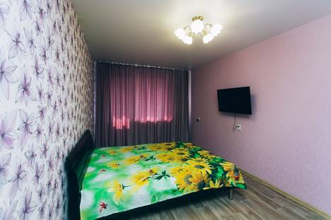 Однокомнатная квартира в аренду посуточно в Ульяновске по адресу улица Орлова, 27
