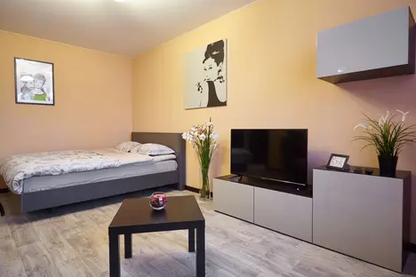 1-комнатная квартира в Дзержинске, улица Марковникова, 10а