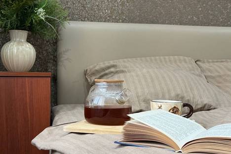 Двухкомнатная квартира в аренду посуточно в Шерегеше по адресу улица Гагарина, 26