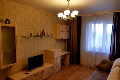 Однокомнатная квартира в аренду посуточно в Рязани по адресу улица Татарская, 93