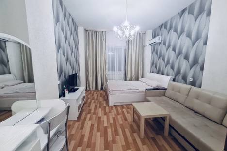 Однокомнатная квартира в аренду посуточно в Нижнем Новгороде по адресу Московское шоссе, 27А, метро Канавинская