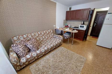 Однокомнатная квартира в аренду посуточно в Тюмени по адресу Новосибирская улица, 131