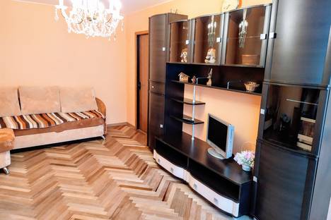 Двухкомнатная квартира в аренду посуточно в Санкт-Петербурге по адресу Петергофское шоссе, 19