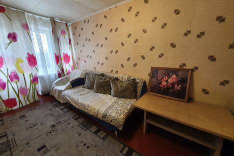 Однокомнатная квартира в аренду посуточно в Красноярске по адресу улица Александра Матросова, 4