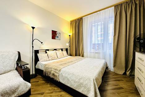 Однокомнатная квартира в аренду посуточно в Мурино по адресу Петровский бульвар, 7, метро Девяткино