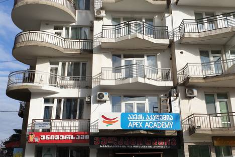 1-комнатная квартира в Тбилиси, Тбилиси, ул. миротадзе1, м. Technical University