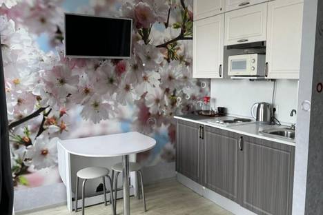 1-комнатная квартира в Адлере, Адлер, Краснодарский край, Сочи, Адлерский район.ул Православная 20\2