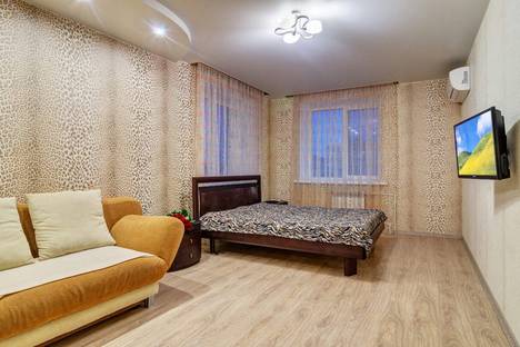 Однокомнатная квартира в аренду посуточно в Пензе по адресу улица Чкалова, 19