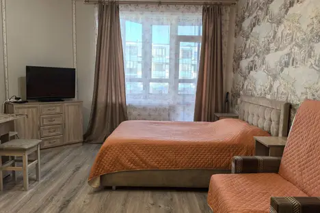 1-комнатная квартира во Всеволожске, улица Шевченко, 12