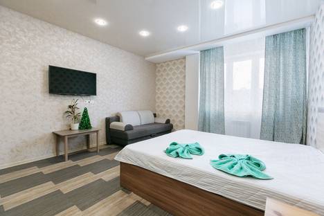1-комнатная квартира в Новосибирске, Новосибирск, улица Некрасова, 65, м. Маршала Покрышкина