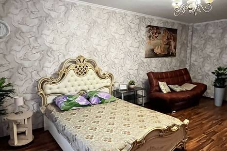 Однокомнатная квартира в аренду посуточно в Самаре по адресу Революционная улица, 7, метро Российская