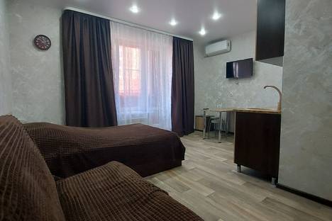 1-комнатная квартира в Воронеже, улица Кривошеина, 13/9