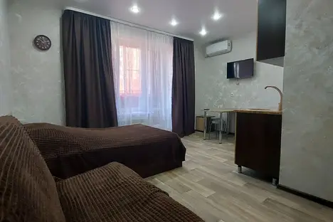 1-комнатная квартира в Воронеже, улица Кривошеина, 13/9